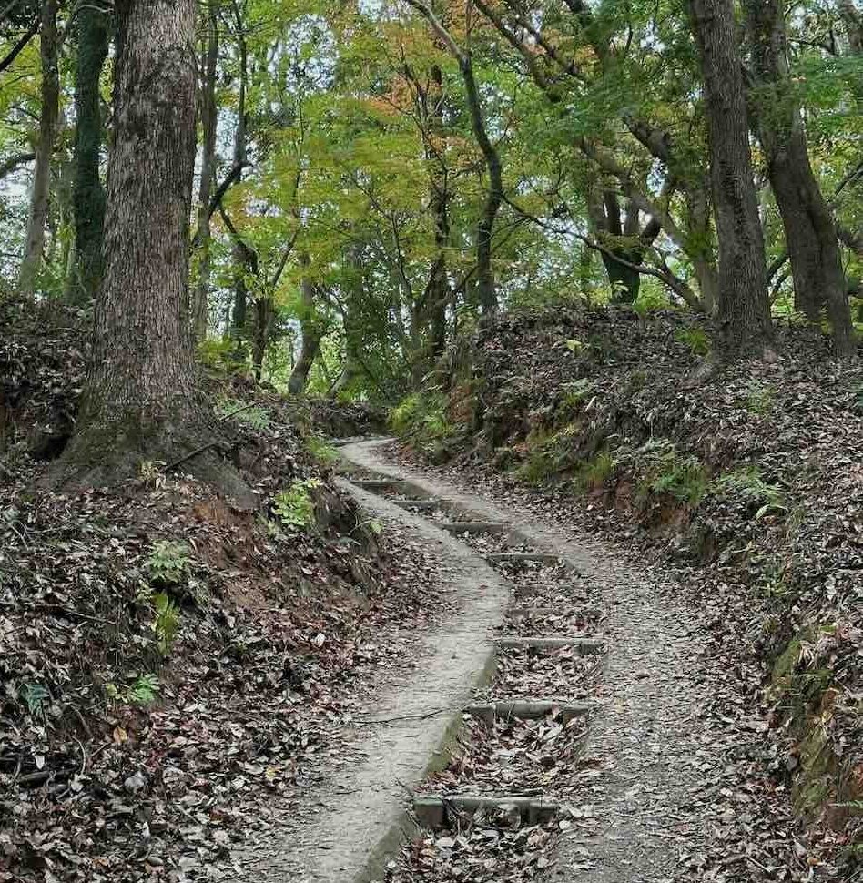 A leaf-covered pathway leading up a hill with trees.